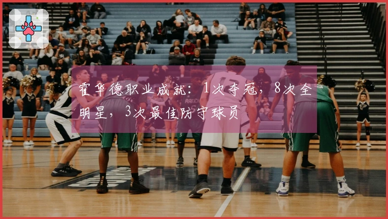 霍华德职业成就：1次夺冠，8次全明星，3次最佳防守球员